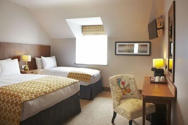 Tek Büyük Yataklı Oda (1 King Bed + 1 Single Bed)