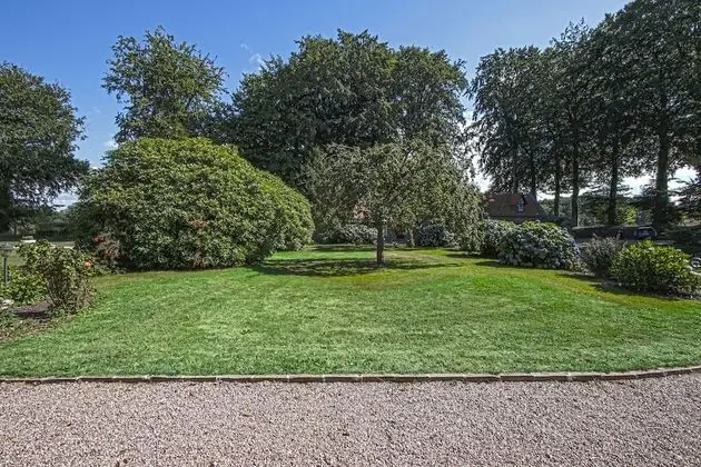 Oda, 1 En Büyük (King) Boy Yatak