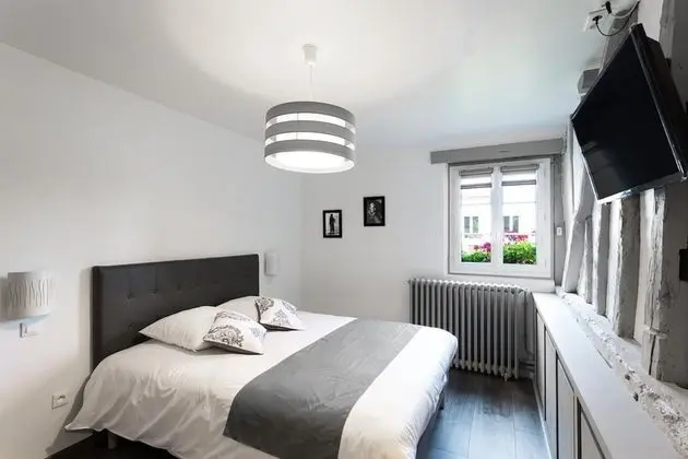 Tek Büyük Yataklı Oda, Bahçe Manzaralı ( Chambre Rez De Chaussee)