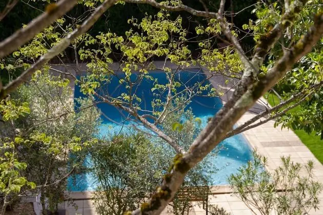 Deluxe Süit (Louise)