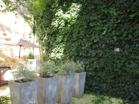 Üç Kişilik Oda, Teras