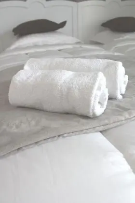 Comfort Tek Büyük Yataklı Oda, 1 Çift Kişilik veya 2 Tek Kişilik Yatak