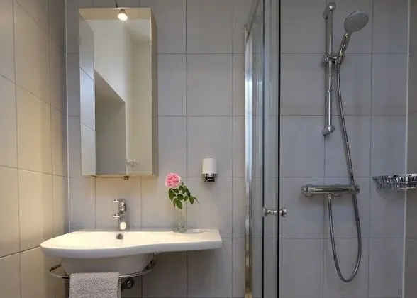 Deluxe Tek Büyük Yataklı Oda, Banyolu/Duşlu (Agastache-1er étage)