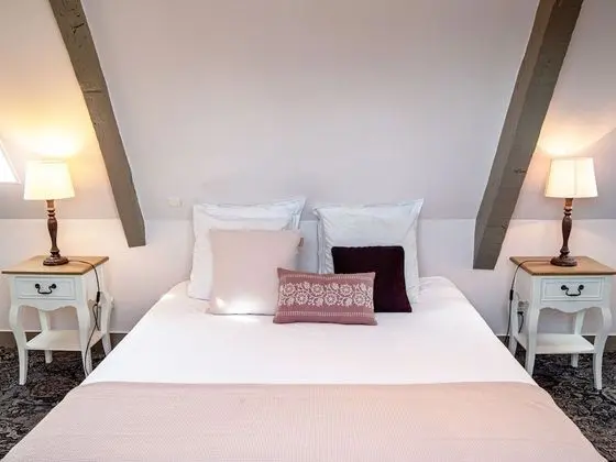 Romantic Tek Büyük Yataklı Oda, Banyolu/Duşlu (Chambre Rose)