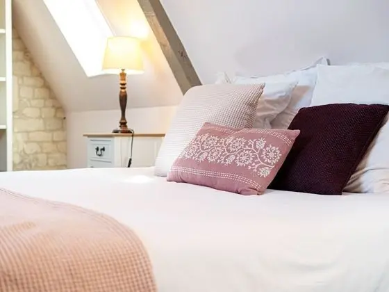 Romantic Tek Büyük Yataklı Oda, Banyolu/Duşlu (Chambre Rose)
