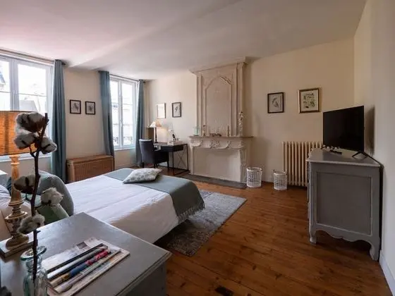 Superior Tek Büyük Yataklı Oda, Banyolu/Duşlu (Chambre Verte)