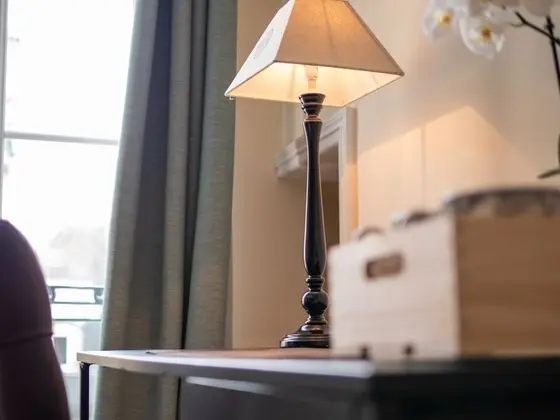 Superior Tek Büyük Yataklı Oda, Banyolu/Duşlu (Chambre Verte)