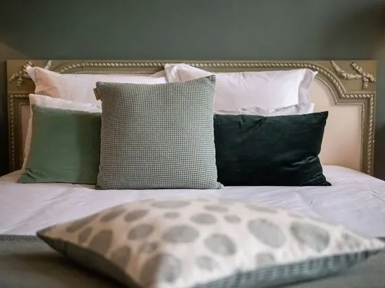 Superior Tek Büyük Yataklı Oda, Banyolu/Duşlu (Chambre Verte)