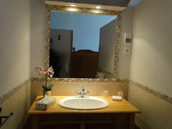 Comfort Tek Büyük Yataklı Oda, Banyolu/Duşlu, Park Manzaralı (Dentelle)