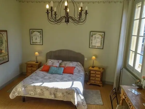 Tek Büyük Yataklı Oda, Banyolu/Duşlu, Bahçe Manzaralı (Olivier )