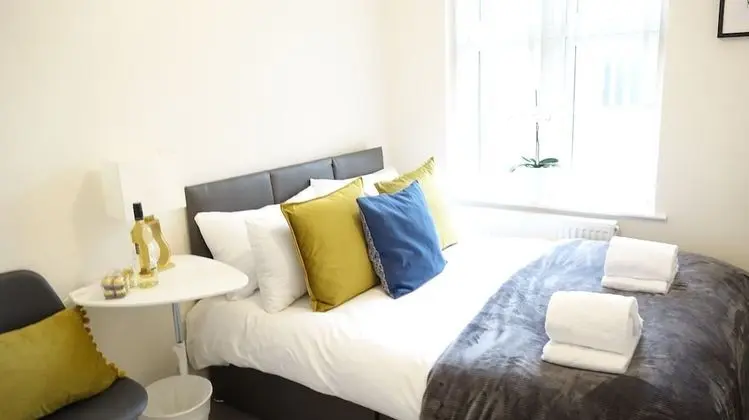 Deluxe Tek Büyük Yataklı Oda (Room 2)