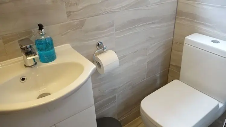 Deluxe Tek Büyük Yataklı Oda (Room 2)