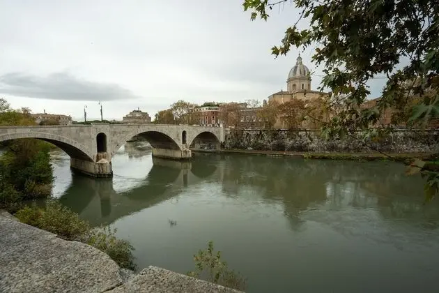 Apart Daire, 1 Yatak Odası, Buzdolabı