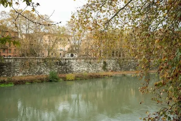 Apart Daire, 1 Yatak Odası, Buzdolabı