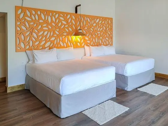Manakin Family Suite