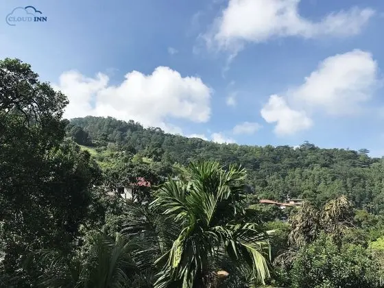 Luxury Tek Büyük Yataklı Oda, Dağ Manzaralı