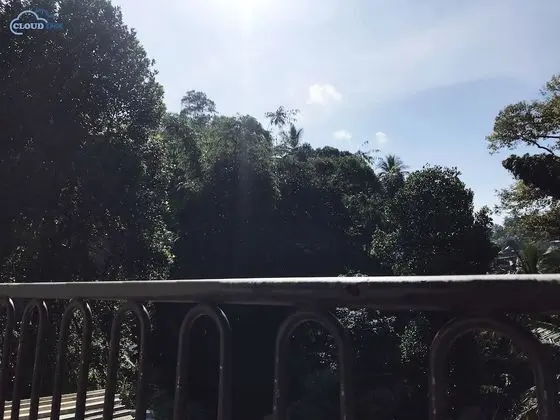 Luxury Tek Büyük Yataklı Oda, Dağ Manzaralı