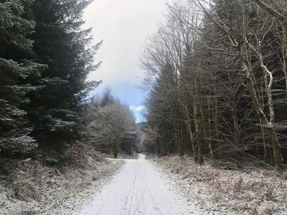 Kulübe, Birden Çok Yatak