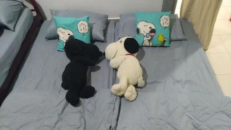 Family Stüdyo Süit (Snoopy Theme 1)