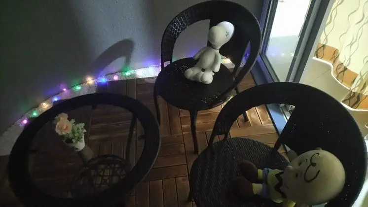 Family Stüdyo Süit (Snoopy Theme 2)