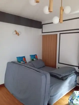 Premium Apart Daire, 2 Yatak Odası, Göl Manzaralı (Snoopy Theme 3)