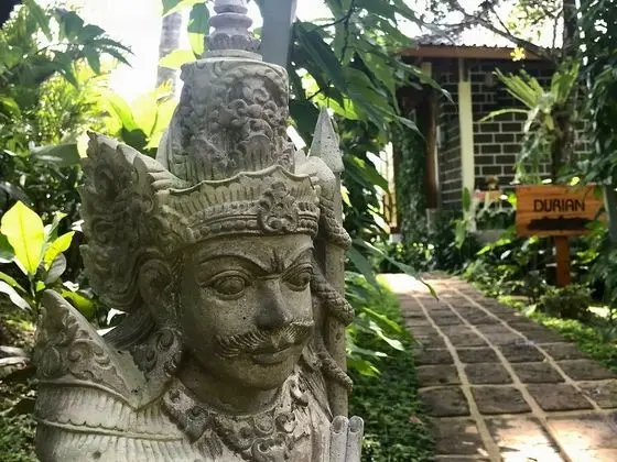 Villa (Durian)