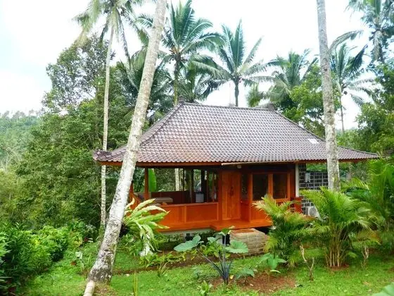 Villa (Durian)