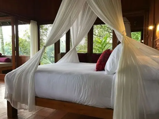 Villa (Kelapa)