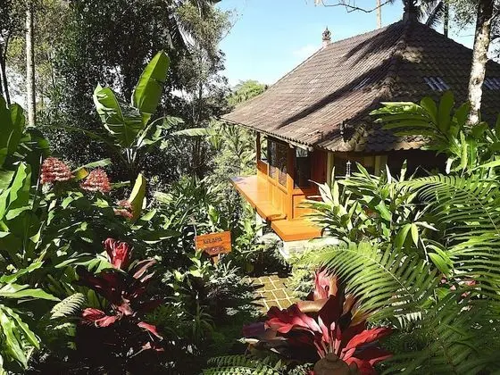 Villa (Kelapa)
