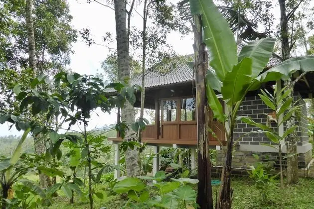 Villa (Nangka)
