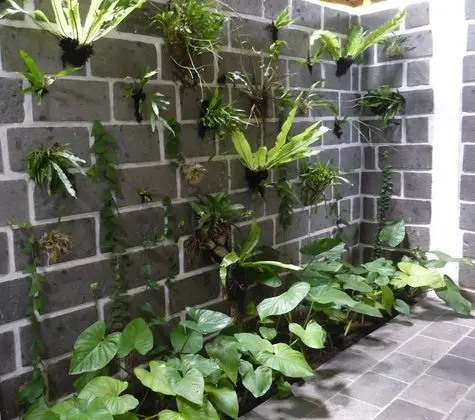 Villa (Nangka)