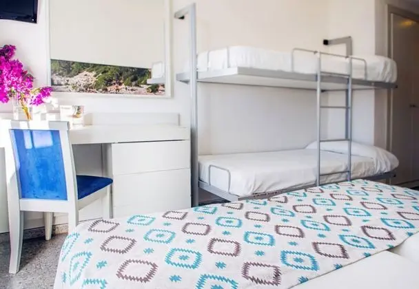 Standard Tek Büyük Yataklı Oda (2 Adults + 1 Child)