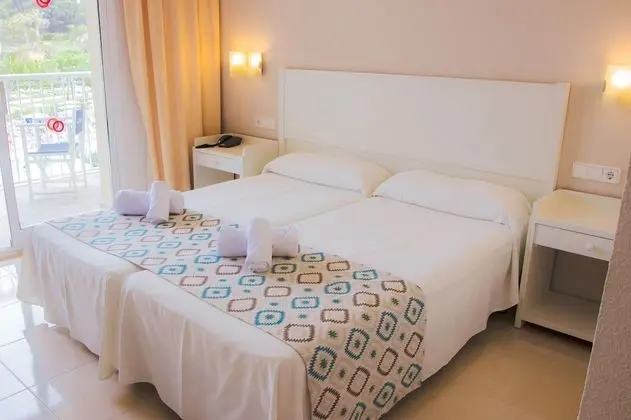 Standard Tek Büyük Yataklı Oda (2 Adults)