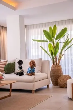 Laren Sıgnature, Göl Manzaralı, Jakuzili ve Teraslı
