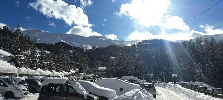 Çift ​​kişilik Standard