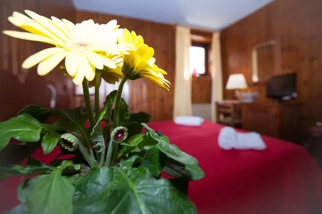 Çift ​​kişilik Standard