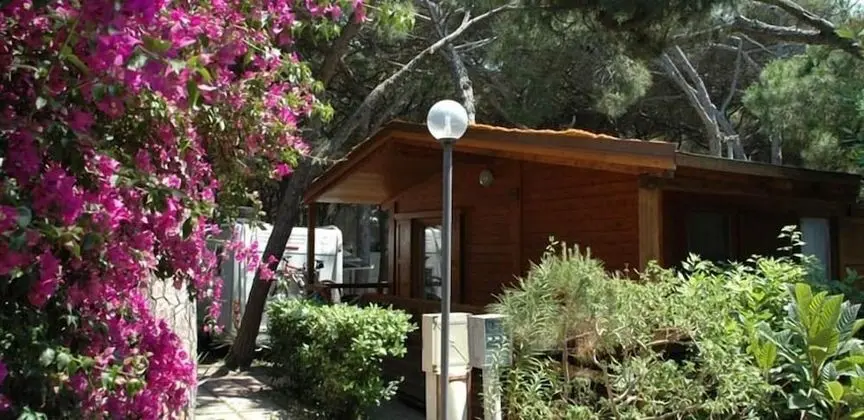 Bungalov, 1 Yatak Odası
