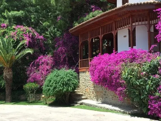 Club Bungalov, Bahçe Manzaralı