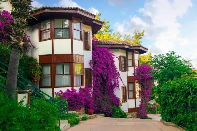 Club Bungalov, Bahçe Manzaralı