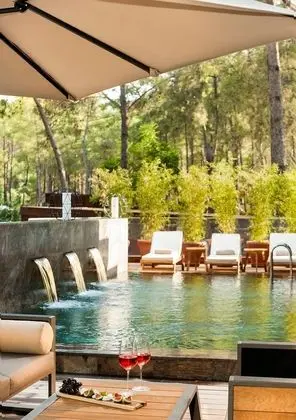 Premium Villa Havuz