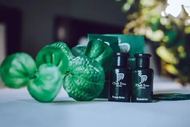 Deluxe İki Ayrı Yataklı Oda, Sigara İçilmez