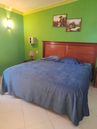 Deluxe Tek Kişilik Oda, Bahçeli