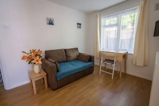 Apart Daire, 1 Yatak Odası (Apartment 1)