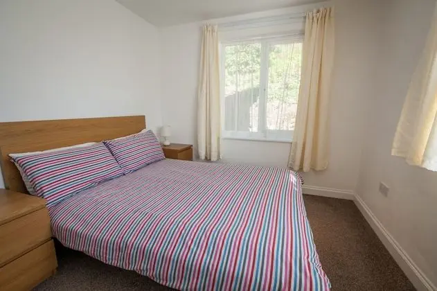 Apart Daire, 1 Yatak Odası (Apartment 1)