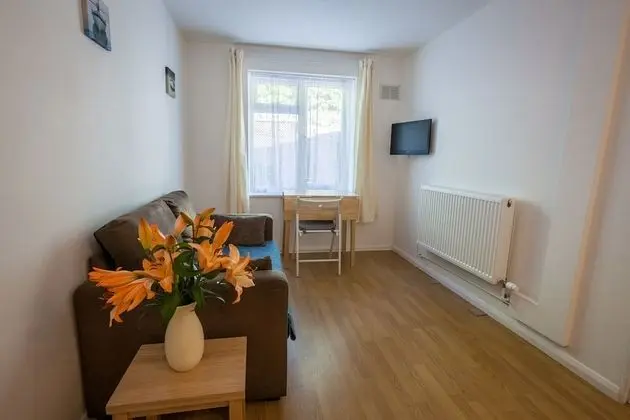 Apart Daire, 1 Yatak Odası (Apartment 1)