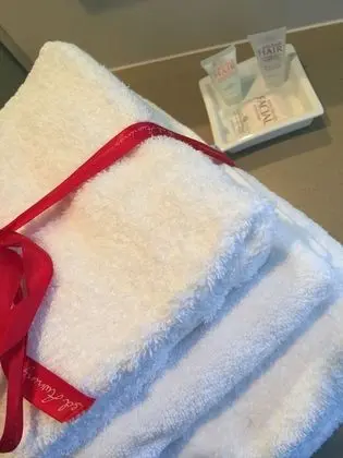 Superior Süit, 1 En Büyük (King) Boy Yatak