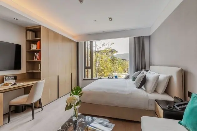 Deluxe Tek Büyük Yataklı Oda