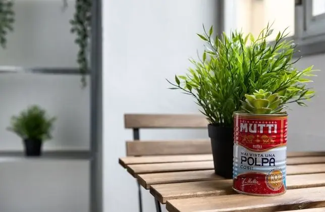 Classic Tek Büyük Yataklı Oda