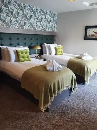 Deluxe Tek Büyük Yataklı Oda, Banyolu/Duşlu (Super King or Twin Deluxe)