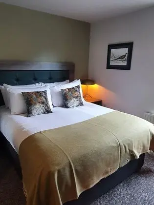 Standard Tek Büyük Yataklı Oda, Banyolu/Duşlu (King Size Standard)